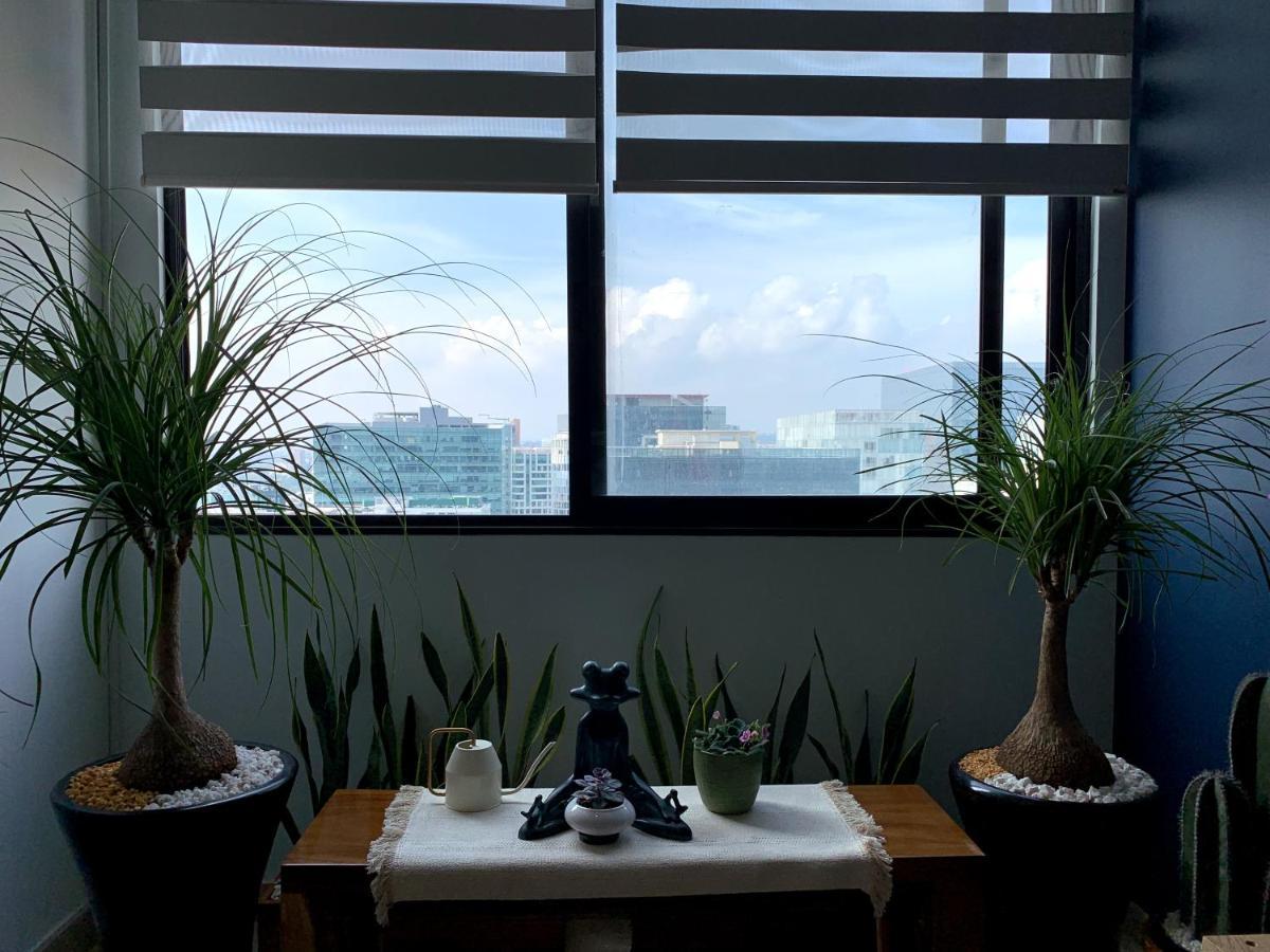 Blue Horse Apartment In New Polanco. Мехико Экстерьер фото