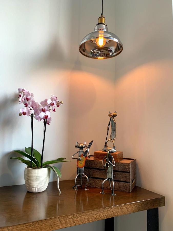 Blue Horse Apartment In New Polanco. Мехико Экстерьер фото